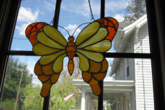 orange-butterfly